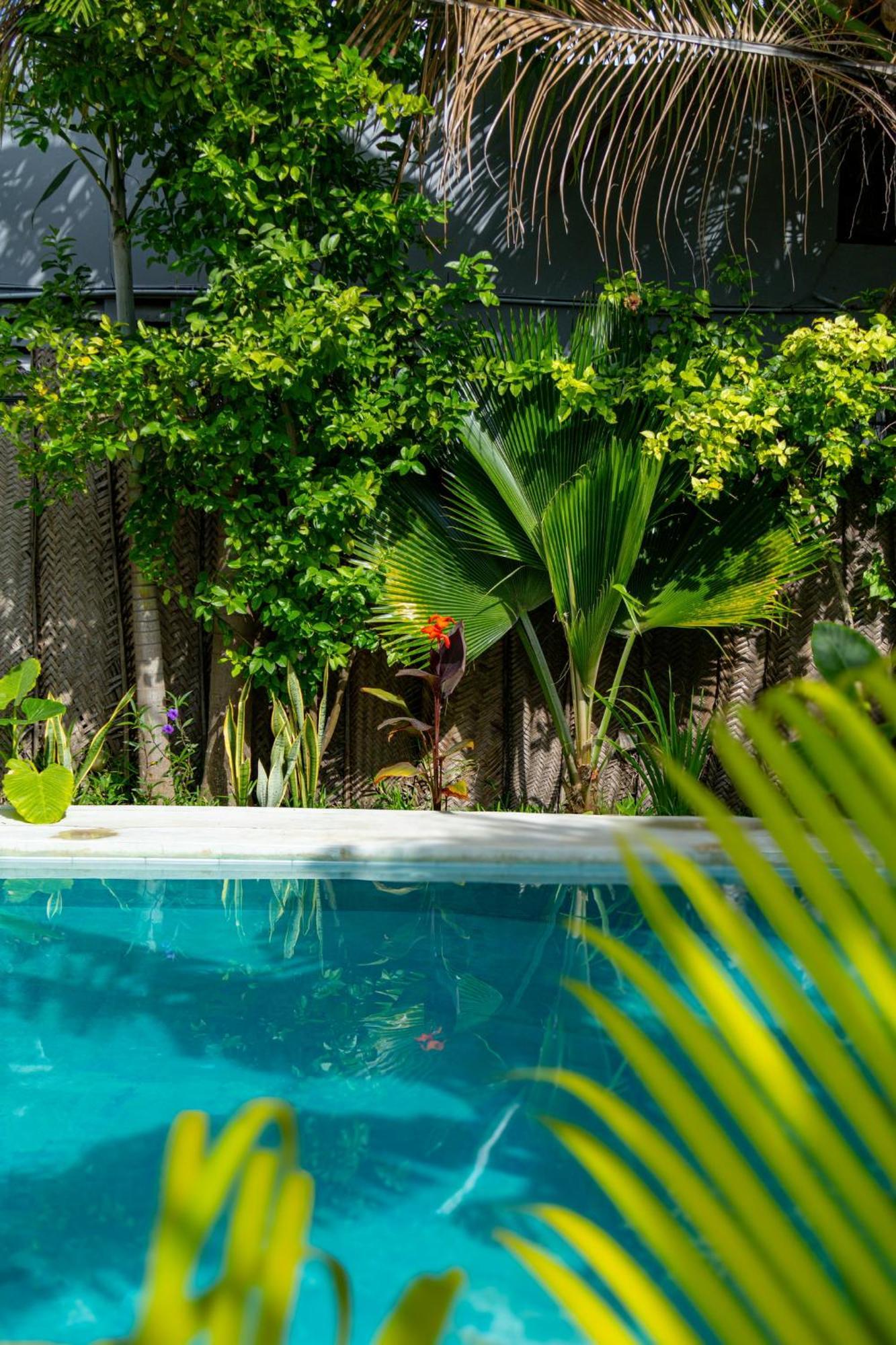 Pili Pili Oasis Hotel Jambiani (Zanzibar)