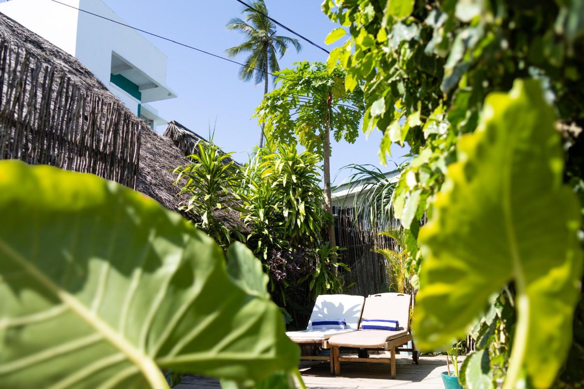 Pili Pili Oasis Hotel 4*
