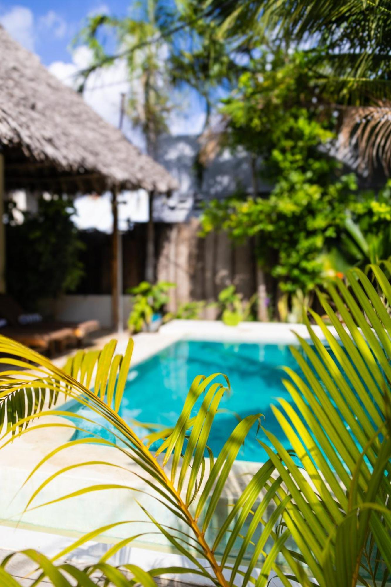 Pili Pili Oasis Hotel Jambiani (Zanzibar)